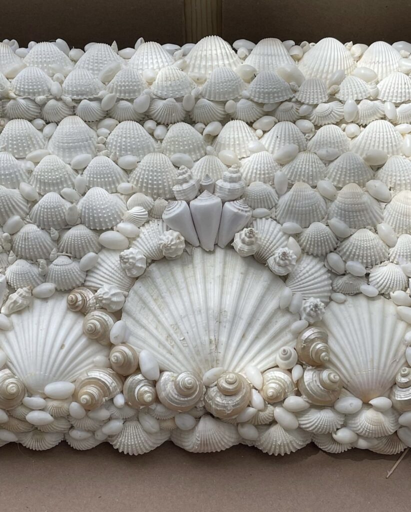 Sea Shell Art Mantle by Irwin and Lane